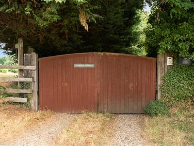 Picture 26